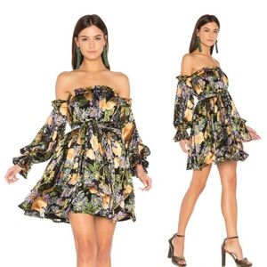 For love and lemons Luciana dress